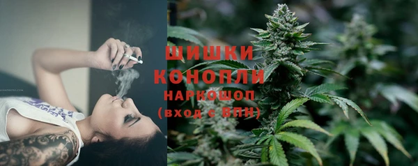ПСИЛОЦИБИНОВЫЕ ГРИБЫ Кущёвская