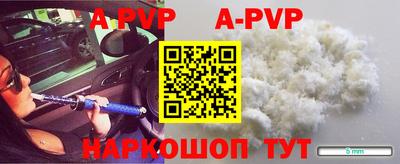 спиды Кингисепп