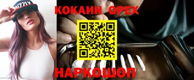 спиды Кингисепп