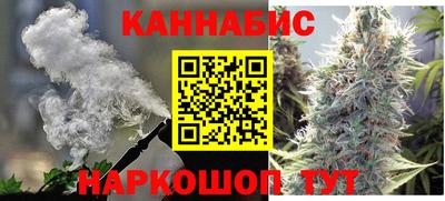 спиды Кингисепп