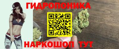 СК Кинель