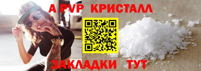 спиды Кингисепп