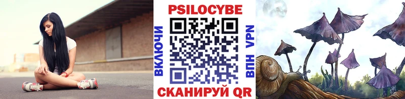 Псилоцибиновые грибы GOLDEN TEACHER  Сокол 