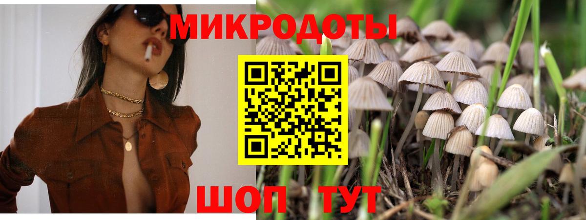наркота  Вход с VPN  Сокол  Галлюциногенные грибы MAGIC MUSHROOMS  Псилоцибиновые грибы Magic Shrooms 